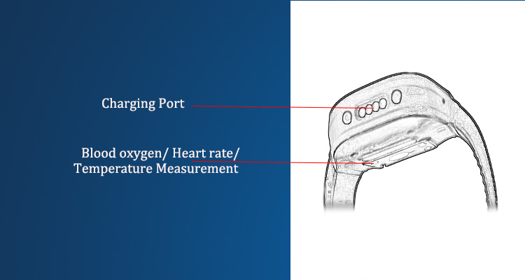 血氧监测追踪器支持温度和心率